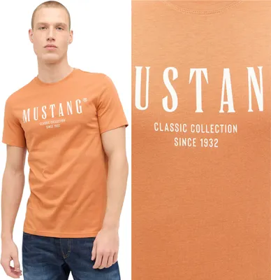 Produktbild von MUSTANG Herren, T-Shirt AUSTIN, S, Orange, sport, tshirt, shirt