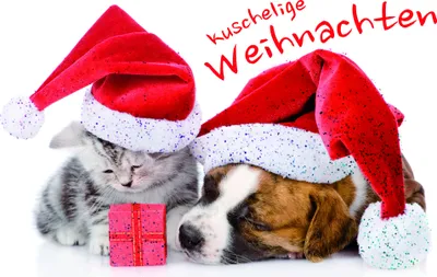 Produktbild von Weihnachten Grußkarte - Glückwunschkarte mit Umschlag - Schlafender