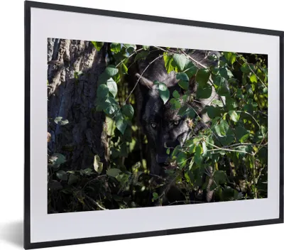 Produktbild von MuchoWow® MuchoWow® Gerahmtes Poster Wolf versteckt sich im Gebüsch 40x30 cm - Poster mit zchwarzem Bilderrahmen - Bilderrahmen - Poster im Rahmen