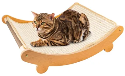 Produktbild von Katzenkratzbaum (L/XL)