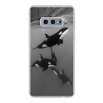 Produktbild von MuchoWow® Handyhülle Schutzhülle Hülle für Samsung Galaxy S10e Orca - Wasser - Schwarz - Weiß Silikon Softcase Handy Hülle - Handy