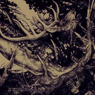 Produktbild von The Dark