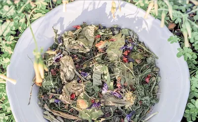 Productafbeelding van Famanu konijnenvoer, 3 kg - Gemaakt met natuurlijke ingrediënten en wilde kruiden