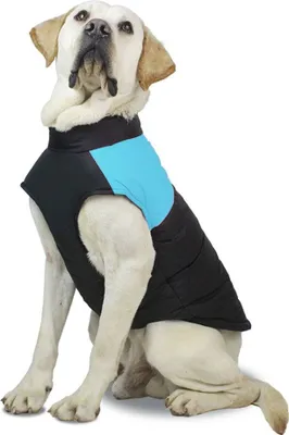 Produktbild von Winterweste Schwarz-Blau S