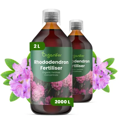 Produktbild von Rhododendren Flüssigdünger 2x1L – 2-1-8 NPK – Flüssig-Pflanzendünger für Rhododendren – Organifer