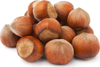 Produktbild von Haselnüsse in der Schale | 2 kg | PREMIUM | Frisch und lecker aus Polen