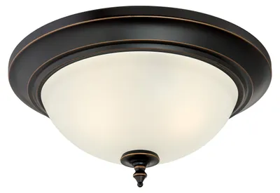 Productafbeelding van Westinghouse Harwell, 1 lamp, LED, E27, Bronskleurig