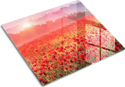 Imagen del producto de Placa de protección de vidrio – Cubierta para placa de cocina – Cubierta para placa de inducción – 60x52 cm – Limpieza fácil – Vidrio templado – Diseño de mármol