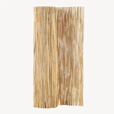 Produktbild von Schilfzaun ‘Abbateggio’ 160 x 600 cm Natur