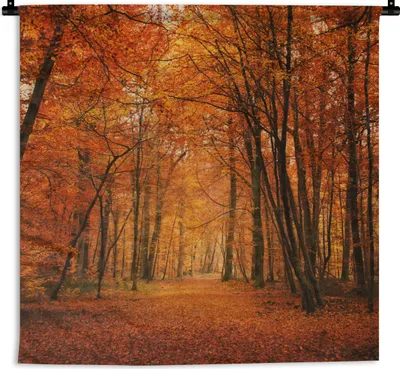Produktbild von MuchoWow® Wandteppich Wandbehang Herbst - Rot - Wald 60x60 cm Tapisserie Dekoration Wandtuch - Dekorationen - Wand Decke