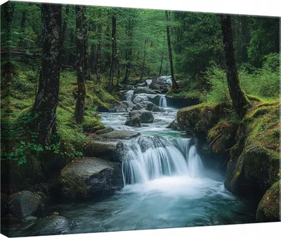Produktbild von Leinwand Bilder Wandbilder 60x40 cm XXL Modern Leinwandbild Leinwandbilder Wald Grün Wasserfall