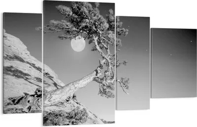 Produktbild von Bild auf Leinwand - Leinwandbild - 4 Teile - Voll der Mond Baum - 120x70cm - Wand Bild - Wanddeko - Wandbilder - Leinwanddruck - Bilder - Wanddekoration - Leinwand bilder - Wandbild - DL120x70-4689