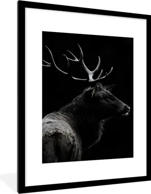 Produktbild von MuchoWow® Gerahmtes Poster Hirsch - Schwarz - Porträt - Geweih - Tiere 60x80 cm - Poster mit Schwarzem Bilderrahmen Wandposter Rahmen Foto Bilder - Wohnzimmer - Dekorationen - Prämie