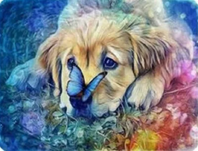 Produktbild von Norimpex Diamantmosaik - Labrador mit Schmetterling 1007052