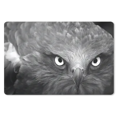 Produktbild von MuchoWow® Schreibtischunterlage Adler - Schwarz - Weiß 60x40 cm - XXL Mauspad - Großes Mauspad