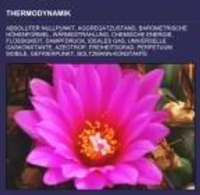 Produktbild von Thermodynamik
