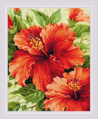 Obrázok produktu pre Súprava Riolis na vyšívanie krížikom "Hibiscus", počítaný vzor, 40x50cm