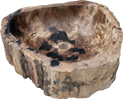 A petrified wood sink is shown against a white background.