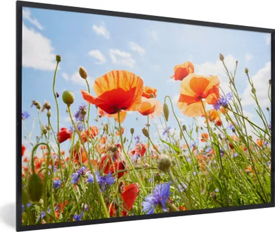 Produktbild von MuchoWow® MuchoWow® Gerahmtes Poster Blumen - Mohn - Frühling - Natur - Rot - Blau 60x40 cm - Poster mit zchwarzem Bilderrahmen - Printing - Wanddeko Schlafzimmer
