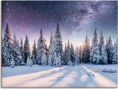 Produktbild von ARTland Leinwandbild Tannenwald im Schnee vorm Sternenhimmel Größe: 40x30 cm