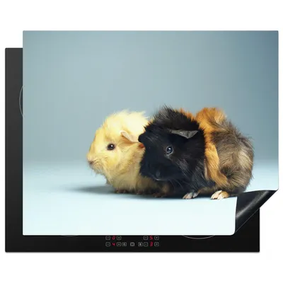 Produktbild von KitchenYeah© Herdabdeckplatte Zwei kleine Meerschweinchen , 65x52cm, Küche Deko, Glaskeramikkochfeld Herdabdeckung, Abdeckplatte fùr Kochfeld
