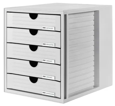 Aufbewahrungsbox mit 5 Schubladen, Lichtgrau, DIN A4