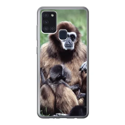 Produktbild von MuchoWow® Handyhülle Schutzhülle Hülle für Samsung Galaxy A21s Affe - Pflanzen - Jung Silikon Softcase Handy Hülle - Hartschale