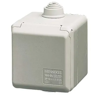 Image de 4102 Prise murale Cepex 16A3p 6H230V IP44