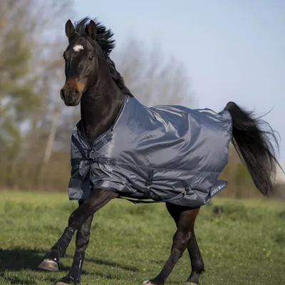Produktbild von BUSSE Outdoordecke 0g Windchill Regendecke Grau (Navy) 145