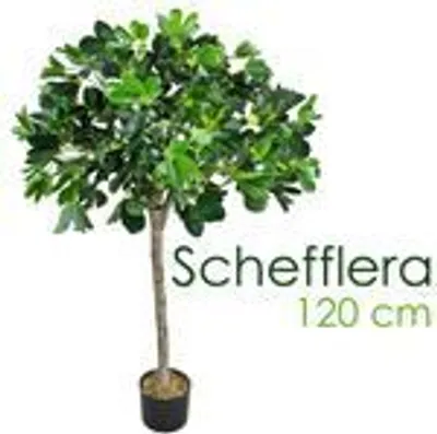 Obrázok produktu pre Schefflera Aralia Arboricola umelá rastlina umelý strom umelá rastlina 120 cm interiérová dekorácia umelá rastlina ako skutočná v kvetináči Decovego