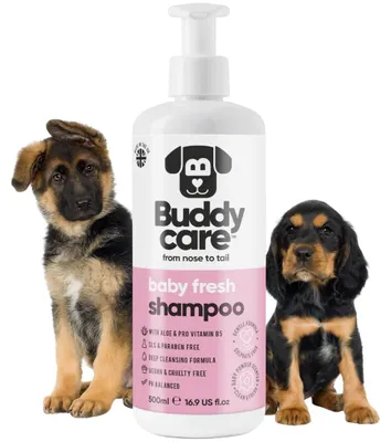 Produktbild von Babyfrisch Hundeshampoo von Buddycare - Shampoo für müffelige Hunde ab 8 Wochen - Baby-Puder-duftendes Welpen-Shampoo mit Aloe Vera und Provitamin B5 (500ml)
