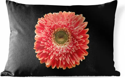 Produktbild von MuchoWow® Outdoor Kissen - Eine orangefarbene Gerbera-Blüte vor schwarzem Hintergrund - 60x40 cm - Wetterfest - Lounge Kissen - Zierkissen - Kissen für Innenräume