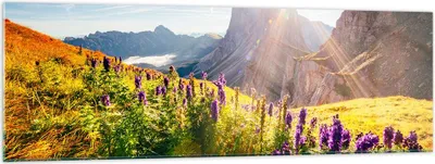 Produktbild von Bilder auf glas - Berge Wiese Blumen - 160x50cm - Glasbilder - Wandbilder - Kunstdruck - zum Aufhängen bereit - Wanddekoration aus Glas - Glas Bilder - Wandbild auf Glas - Einteilig - GAB160x50-4008
