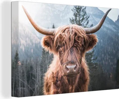 Obrázek produktu pro OneMillionCanvasses® - Obrazy na plátně - 140x90 cm, Skotský náhorní skot - Kráva - Zvířata - Hory - Příroda, Nástěnný tisk Nástěnná dekorace - Fotografie na plátně - Obraz na plátně