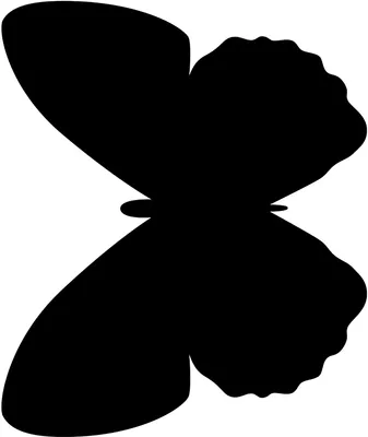 Obrázek produktu pro Securit FB-BUTTERFLY, 300 x 500 mm, Melamin, Pryskyřice, Sychý zip, Černá