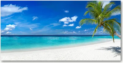 Produktbild von Tulup® Leinwandbild -100x50 cm - Wandkunst - Drucke auf Leinwand - Leinwanddruck  - Landschaften - Blau - Tropischer Strand