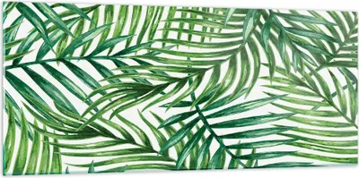 Produktbild von Bilder auf glas - Palme Blatt grün - 120x50cm - Glasbilder - Wandbilder - Kunstdruck - zum Aufhängen bereit - Wanddekoration aus Glas - Glas Bilder - Wandbild auf Glas - Einteilig - GAB120x50-3777