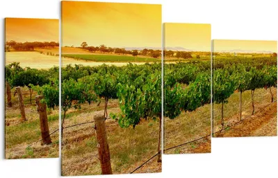 Produktbild von Bild auf Leinwand - Leinwandbild - Landschaft Weinberg Sonnenuntergang - 120x70cm - Wand Bild - Wanddeko - Leinwanddruck - Bilder - Kunstdruck - Leinwand bilder - Wandkunst - DL120x70-0116