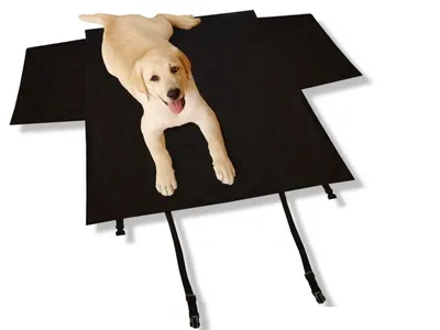 Obrázek produktu pro Ochranný kryt do auta černý 145x150 cm