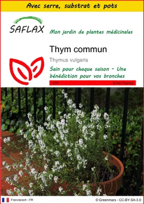 Image de SAFLAX Ensemble de culture - Thym commun - 200 graines - Thymus