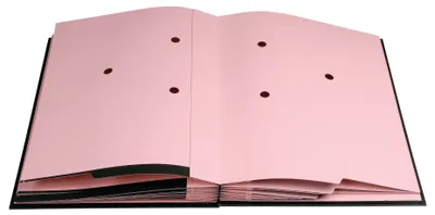 Imagen del producto de EXACOMPTA, carpeta para firmas, formato DIN A4, 24 compartimentos, color negro