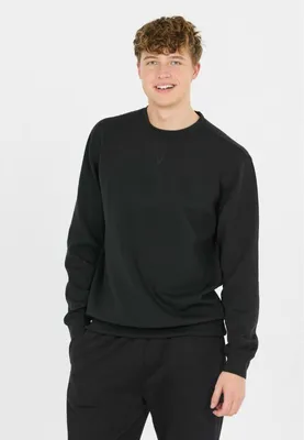 Produktbild von Herren Sweatshirt mit klassischer Passform aus weichem Material für den Alltag