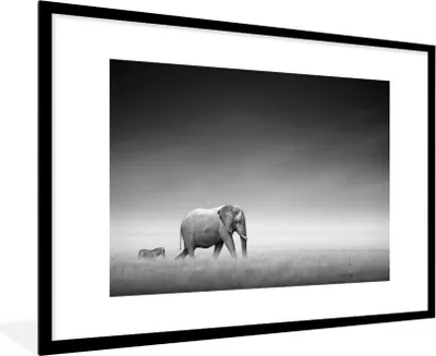 Produktbild von MuchoWow® Gerahmtes Poster Elefant - Tiere - Landschaft - Schwarz und weiß - Zebra 90x60 cm - Poster mit Schwarzem Bilderrahmen Wandposter Rahmen Foto Bilder - Wanddekoration - Fotos