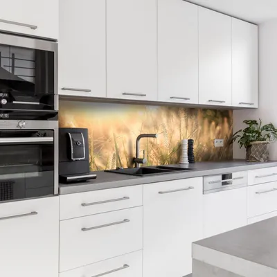 Produktbild von Dedeco Küchenrückwand Motiv: Dünengras V4, 3mm Aluminium Alu-Platten als Spritzschutz Küchenwand Verbundplatte wasserfest, inkl. UV-Lack matt, alle Untergründe, 240 x 60 cm