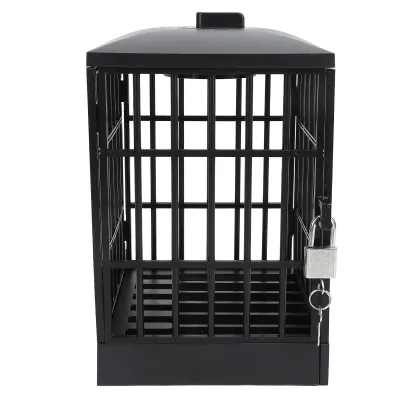 A black cage-like box with a padlock and key, designed for storing a smartphone.