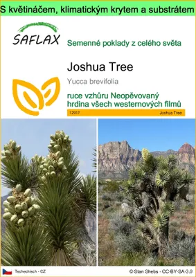 Obrázek produktu pro SAFLAX Garden to go - Joshua Tree - Yucca brevifolia - 10 Semena - S květináčem, klimatickou poklicí a pěstebním substrátem