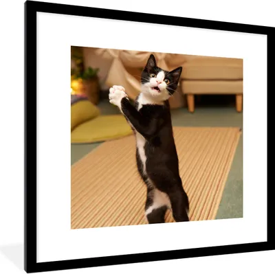 Produktbild von MuchoWow® Gerahmtes Poster Katze - Wohnzimmer - Schwarz 40x40 cm - Poster mit Schwarzem Bilderrahmen Wandposter Rahmen Foto Bilder - Poster - Plakat im Rahmen