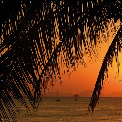 Produktbild von Wallario Outdoor-Poster für Garten oder Balkon, Motiv Sonnenuntergang unter Palmenblättern, in ca. 180 x 180 cm