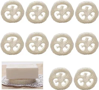 Produktbild von Famanu – Set mit 10 natürlichen Luffa-Schwämmen, Seifenhalter für Dusche und Küche, nachhaltig und hygienisch, ideal für den täglichen Gebrauch