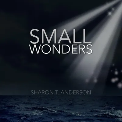 Produktbild von Small Wonders